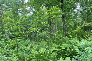19 Swan Rd, New Sharon, ME 04955 - Photo 100