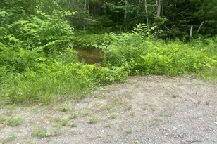 19 Swan Rd, New Sharon, ME 04955 - Photo 124
