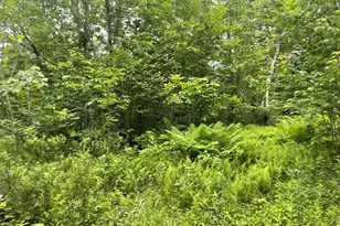 19 Swan Rd, New Sharon, ME 04955 - Photo 116