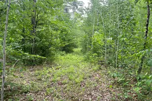19 Swan Rd, New Sharon, ME 04955 - Photo 112