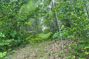 19 Swan Rd, New Sharon, ME 04955 - Photo 114
