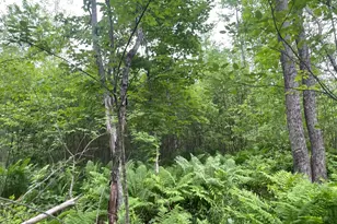 19 Swan Rd, New Sharon, ME 04955 - Photo 104