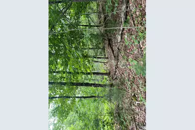 19 Swan Road, New Sharon, ME 04955 - Photo 106