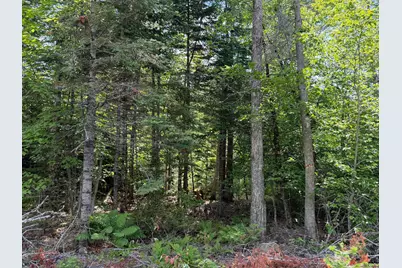 L1 Lily Bay Road, Greenville, ME 04441 - Photo 6
