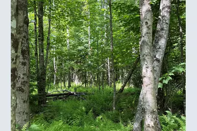 L1 Lily Bay Road, Greenville, ME 04441 - Photo 4