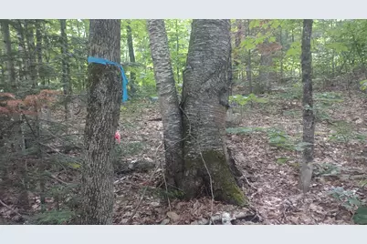 Tbd Stream Road Road, Vienna, ME 04360 - Photo 6
