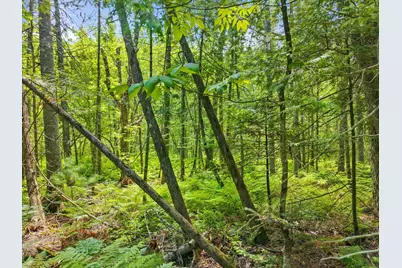 00 Stetson Road E, Levant, ME 04456 - Photo 12