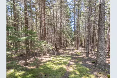 4/30 M/L North Road, Swans Island, ME 04685 - Photo 2
