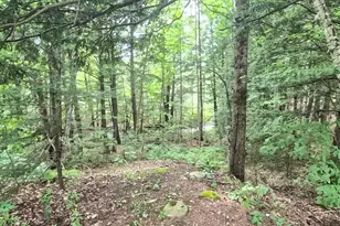 681 Temple Rd, Farmington, ME 04938 - Photo 56