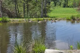 22 Bear Mountain Rd, Fairfield, ME 04937 - Photo 12