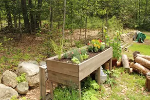166 Wilkins Rd, Acton, ME 04001 - Photo 22
