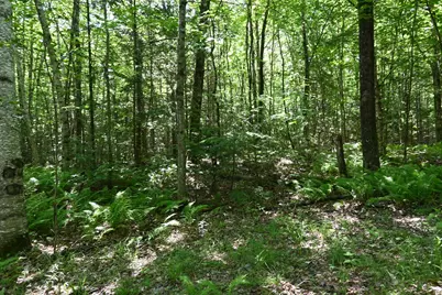 Po M11 L46 Woodcock Lane, Skowhegan, ME 04976 - Photo 6