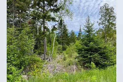 Lot 29-001 Fifth Avenue, Pembroke, ME 04666 - Photo 1