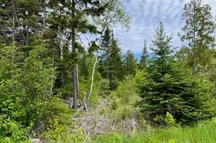 Lot 29-001 Fifth Ave, Pembroke, ME 04666 - Photo 1