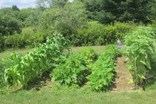 1312 Macomber Mill Rd, Eastbrook, ME 04634 - Photo 24