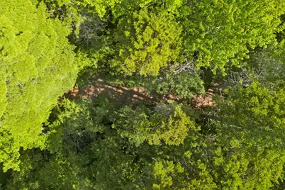 Lot 131 Upper Lead Mountain Pond Road, T28 Md, ME 04622 - Photo 52