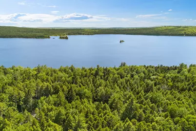 Lot 131 Upper Lead Mountain Pond Road, T28 Md, ME 04622 - Photo 50