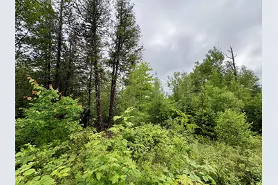 Lot 12 Mt. Jefferson Heights, Lee, ME 04455 - Photo 10