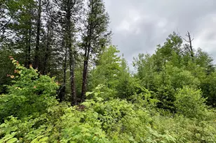 Lot 12 Mt Jefferson Heights, Lee, ME 04455 - Photo 1