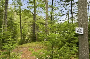 111 Frank's Flat, Sedgwick, ME 04676 - Photo 74