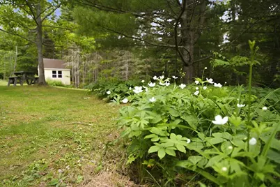 111 Franks Flat, Sedgwick, ME 04676 - Photo 72