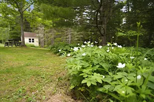111 Frank's Flat, Sedgwick, ME 04676 - Photo 72