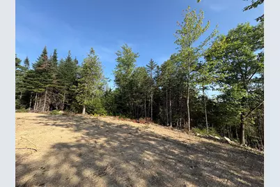 Lot 13 Mt. Jefferson Heights, Lee, ME 04455 - Photo 10