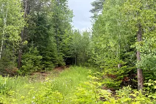 Lot 3 Mt Jefferson Heights, Lee, ME 04455 - Photo 1
