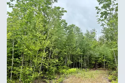 Lot 4 Mt. Jefferson Heights, Lee, ME 04455 - Photo 2