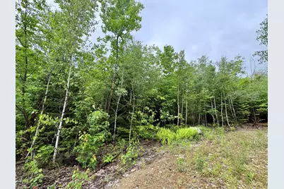 Lot 4 Mt. Jefferson Heights, Lee, ME 04455 - Photo 4