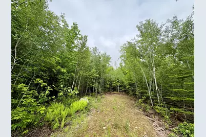 Lot 4 Mt. Jefferson Heights, Lee, ME 04455 - Photo 2