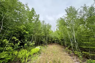 Lot 4 Mt Jefferson Heights, Lee, ME 04455 - Photo 1