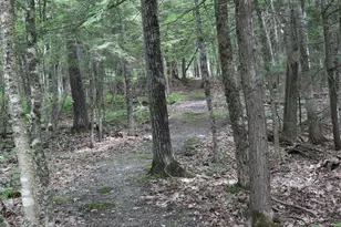 16 Lovejoy Ln, Readfield, ME 04355 - Photo 58