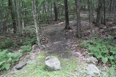 16 Lovejoy Lane, Readfield, ME 04355 - Photo 10