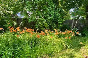 59 Cedar St, Belfast, ME 04915 - Photo 42