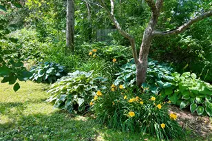59 Cedar St, Belfast, ME 04915 - Photo 84