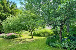 59 Cedar St, Belfast, ME 04915 - Photo 40