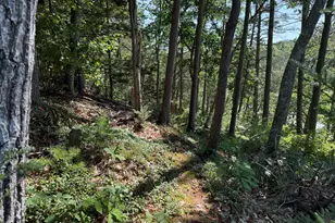 9 + 11 Orion Point Way, Harpswell, ME 04079 - Photo 62