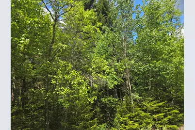 9-10 Wohoa Bay Drive, Addison, ME 04606 - Photo 8