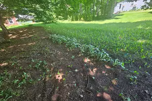 32 Willow St, Patten, ME 04765 - Photo 50