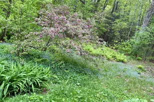 10 Ricker Hill Rd, Jackson, ME 04921 - Photo 12