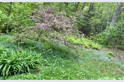10 Ricker Hill Road, Jackson, ME 04921 - Photo 16