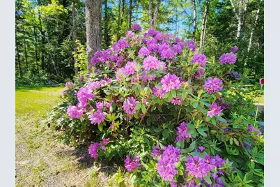 500 Morrison Farm Road, Mariaville, ME 04605 - Photo 56