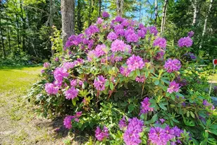 500 Morrison Farm Rd, Mariaville, ME 04605 - Photo 56