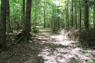 Lot 41 Salmon Road, Madison, ME 04950 - Photo 2