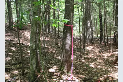 Lot 41 Salmon Road, Madison, ME 04950 - Photo 4