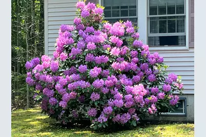 4 McKenna Lane, York, ME 03909 - Photo 36