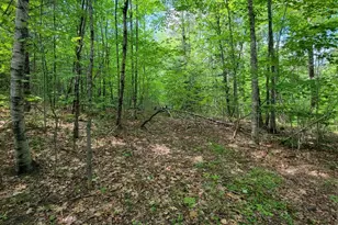 477 Hadley Mill Rd, Jackson, ME 04921 - Photo 20