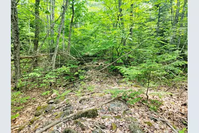 477 Hadley Mill Road, Jackson, ME 04921 - Photo 12