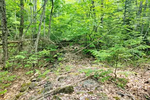 477 Hadley Mill Rd, Jackson, ME 04921 - Photo 12